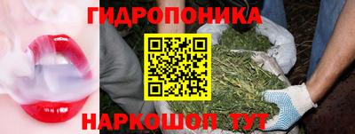 индика Бузулук