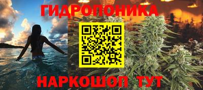mix Будённовск