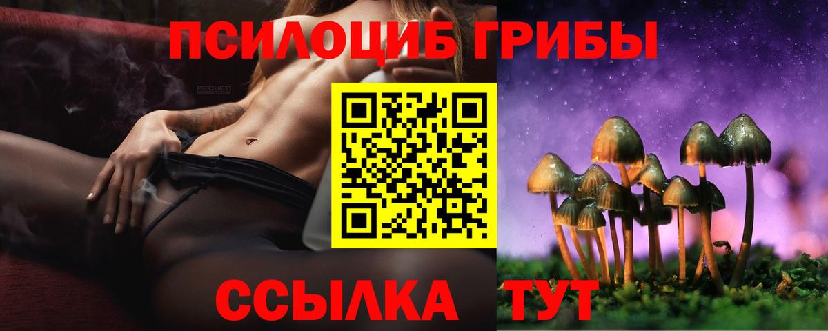 Псилоцибиновые грибы прущие грибы Миллерово